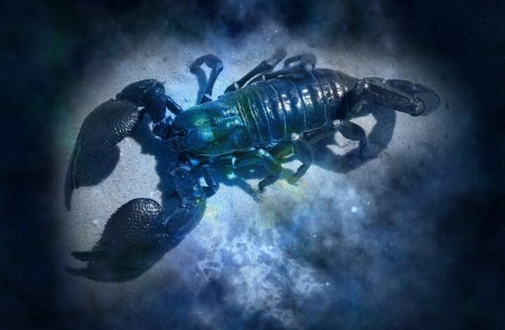 Scorpio Today's Horoscope